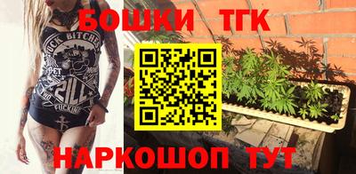 молекула духа Лесосибирск