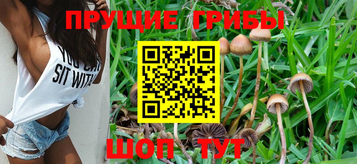 Псилоцибиновые грибы мухоморы  Вход с VPN  Владимир 