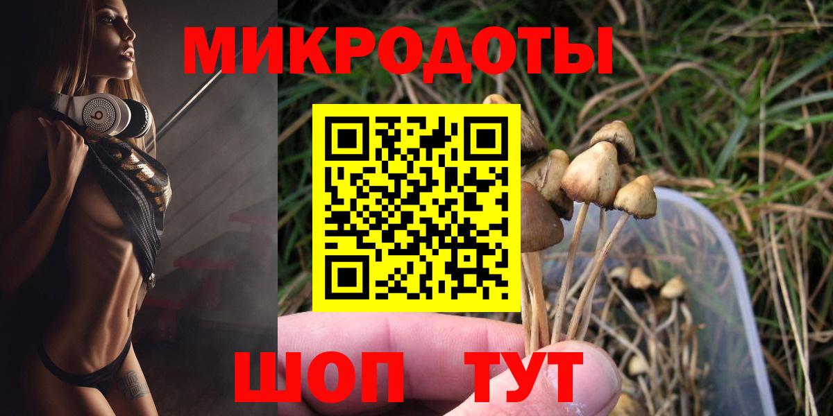 Галлюциногенные грибы мухоморы Владимир